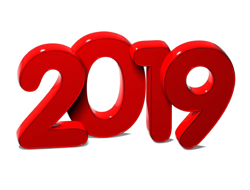 ���� 2019