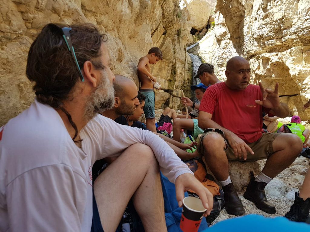 2018 ������